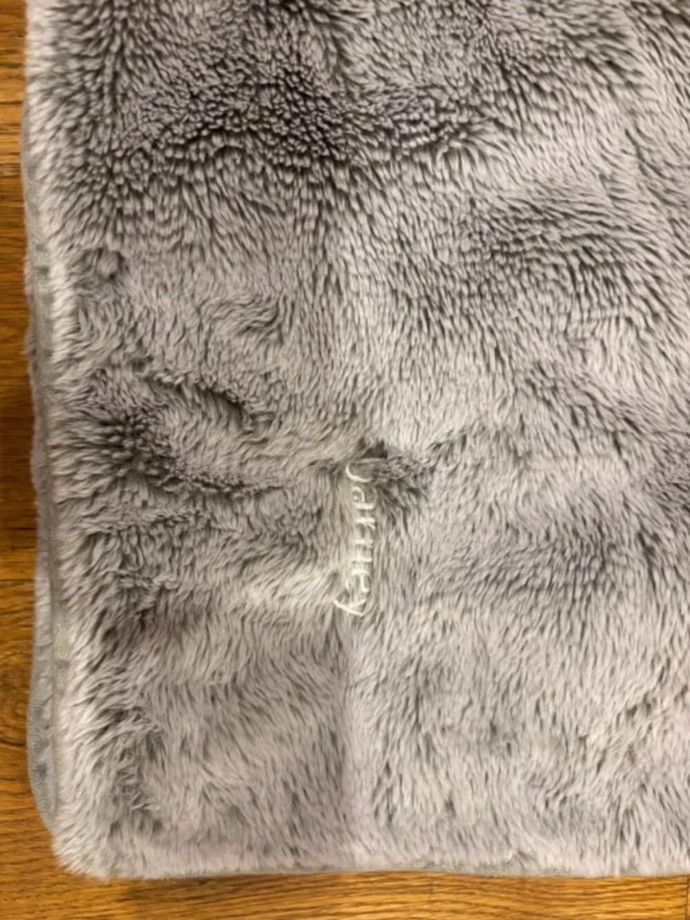 Barney dog blanket